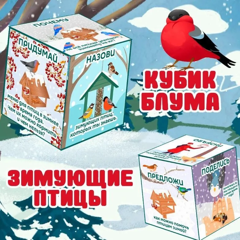 [umeem_igrat] Кубик Блума. Зимующие птицы (Алсу Хаметова)