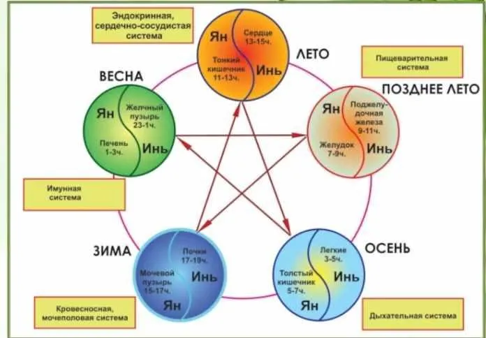 Практикум «Как скорректировать Здоровье по Бацзы и У-СИН» (Оксана Лысикова)