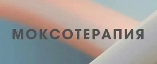 Моксотерапия. Древние секреты китайской медицины (Заира Долова)