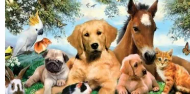 [Sigh Energy] Исцеление и регенерация домашних животных. Pets Healing and Regeneration Powerful Plus