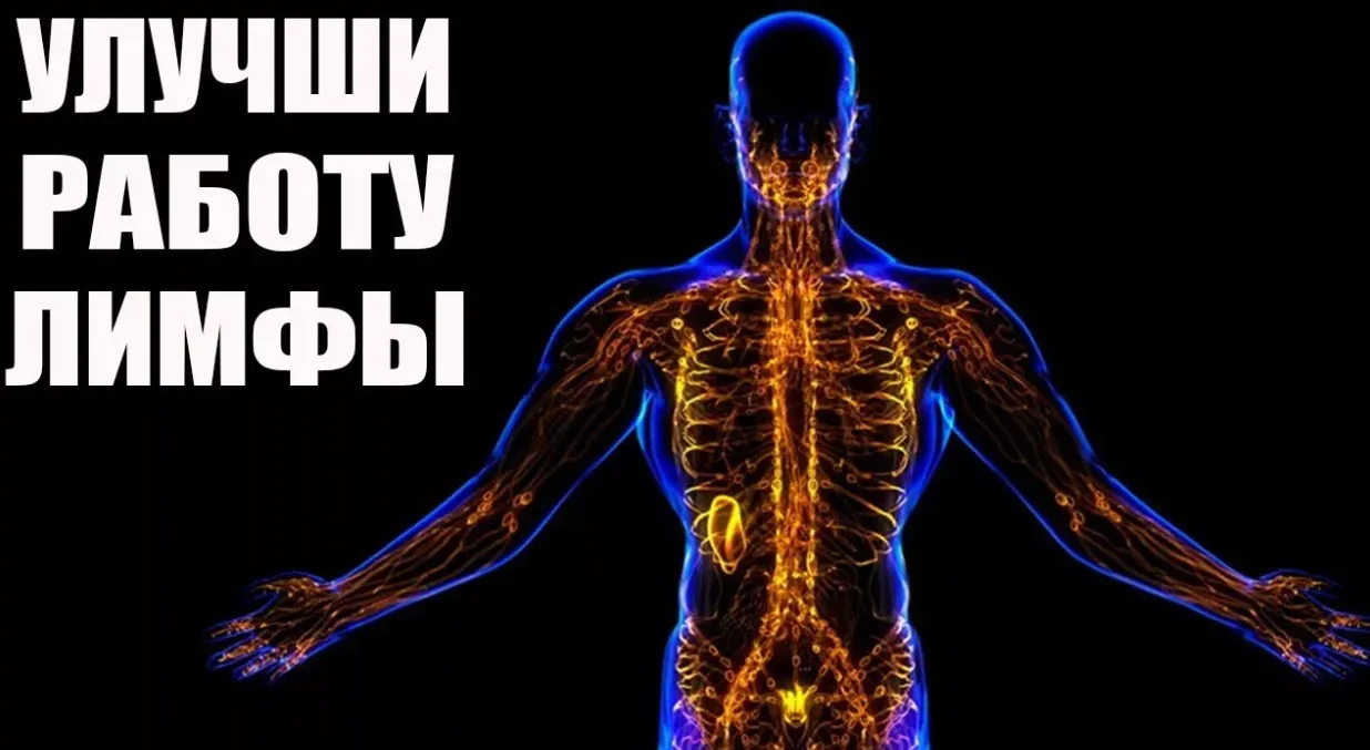 Лимфатическая система. Очищение и омоложение всего организма (Дмитрий Иншаков)
