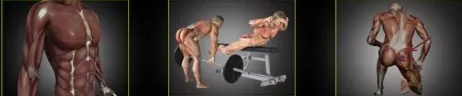 Мышцы кора, выстраивание грудной клетки над тазом (Александр Волоткевич)