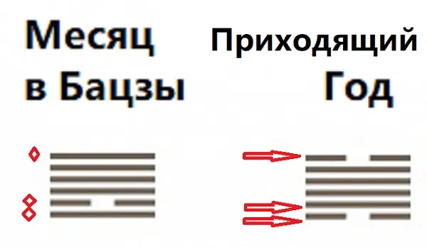 Прогнозы на 2026 год по Ци Мень, фэн-шуй и гексаграммам И-Цзин (Ольга Фандорина)