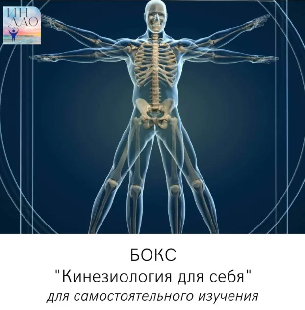 Кинезиология для себя (Сергей Матюшкин)