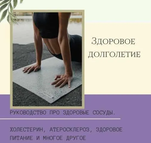 Гайд  Здоровье сосудов (Ольга Сухарева)