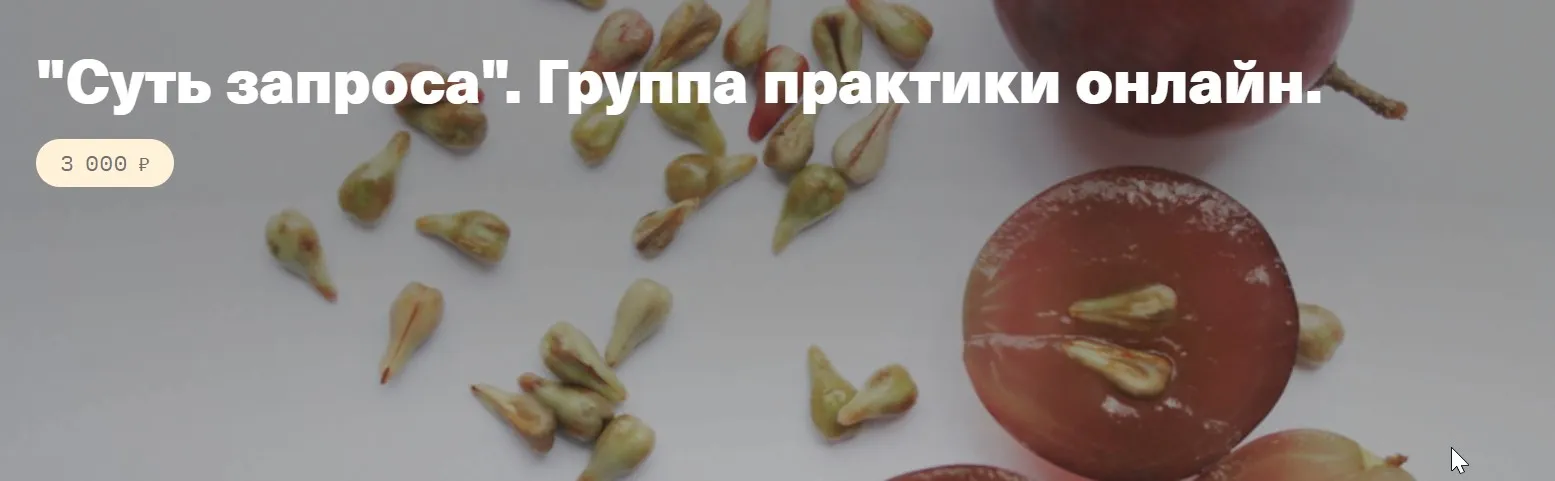 Суть запроса. Группа практики онлайн (Елена Веселаго)