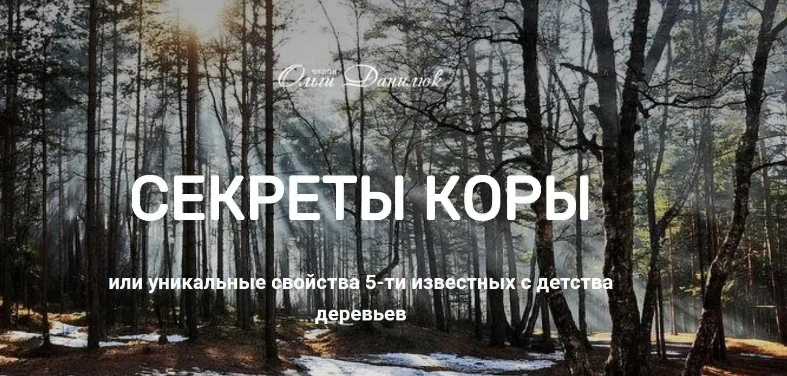 [Школа траволечения доктора Ольги Данилюк] Секреты коры (Ольга Данилюк)