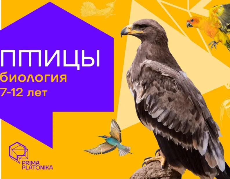 [Prima Platonika] Птицы: Курс о самых красивых и звучных животных планеты (Юлия Кожевникова)