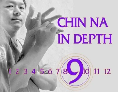 Боевые Искусства. Цинь на. Chin Na in Depth 9 (Ян Цзюн Мин)