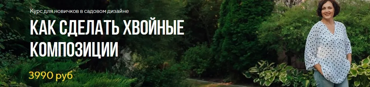 Как сделать хвойные композиции (Наталья Мягкова)