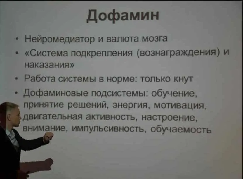 Курс по дофамину (Андрей Беловешкин)