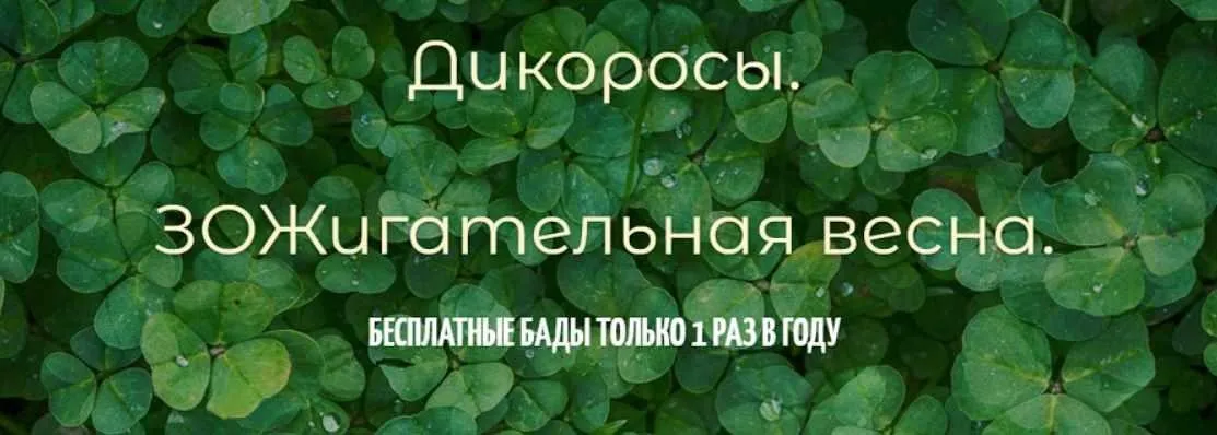 Дикоросы. ЗОЖигательная весна (Любовь Гришаева, Дарья Стрекалова)