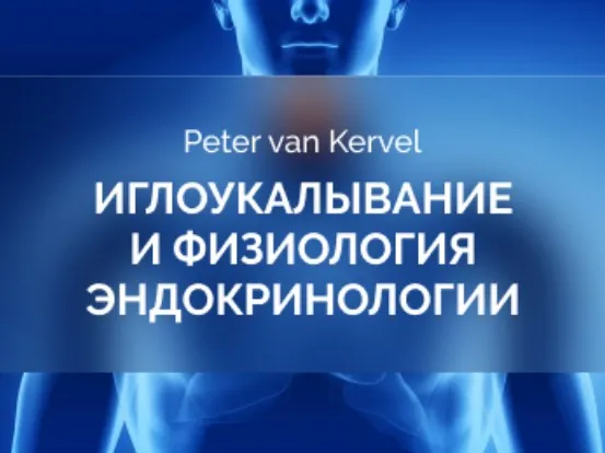 [Краниосакральная академия] Иглоукалывание и физиология эндокринологии (Питер Ван Кервель)