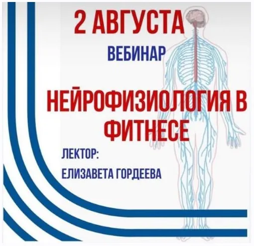 Нейрофизиология в фитнесе (Елизавета Гордеева)
