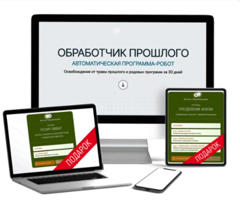 Обработчик прошлого. Автоматическая программа-робот. Освобождение от травм прошлого и родовых программ за 30 дней (Марта Николаева-Гарина)
