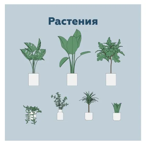 [INT Lines] Растения. Параметрические семейства Revit (Иван Зылёв)