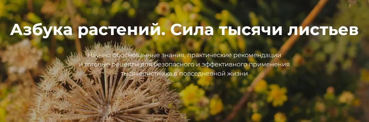 [FestTrav] Азбука растений. Тысячелистник (Александра Клименко)