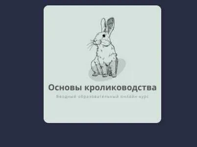 [Stepik] Основы кролиководства (Ева Гагурина)