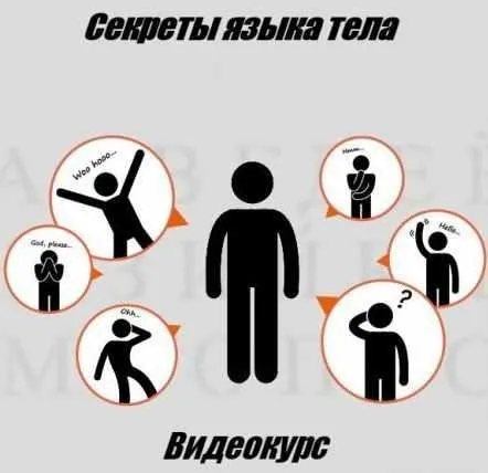 [LendWings] Секреты языка тела (Ванесса Ван Эдвардс)