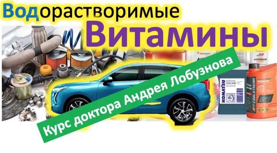 Водорастворимые витамины (Андрей Лобузнов)