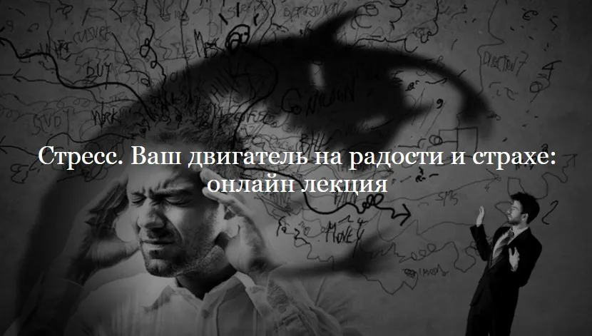 Стресс. Ваш двигатель на радости и страхе (Иван Квасов)