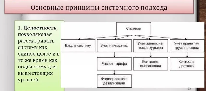 Урология с позиций системного подхода (Дмитрий Маликов)