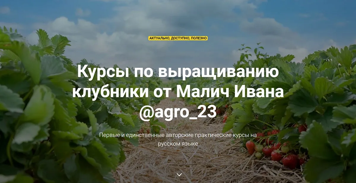 [@agro_23] Курсы по выращиванию клубники (Иван Малич)