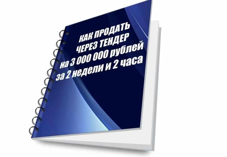 Как продать через тендер на 3 млн рублей за 2 недели и 2 часа (Александр Гуськов)