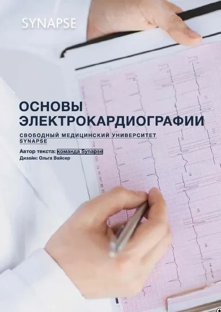 [Synapse] Методичка по ЭКГ