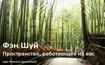 Фэншуй. Пространство, работающее на вас. Урок 8. Транскрибация (Наталия Цыганова)