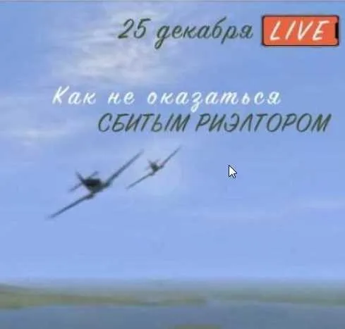 Как не оказаться «Сбитым Риэлтором» (Вадим Шабалин и Сергей Прокофьев)
