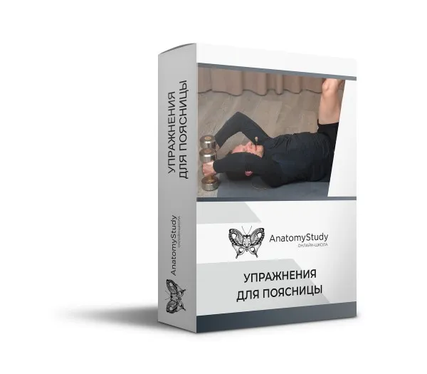 [anatomystudy] Упражнения для поясницы (Вадим Балюк)