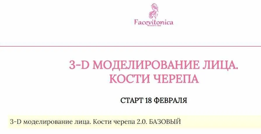 [Facevitonica] 3Д Моделирование лица. Кости черепа (Инна Алферова)
