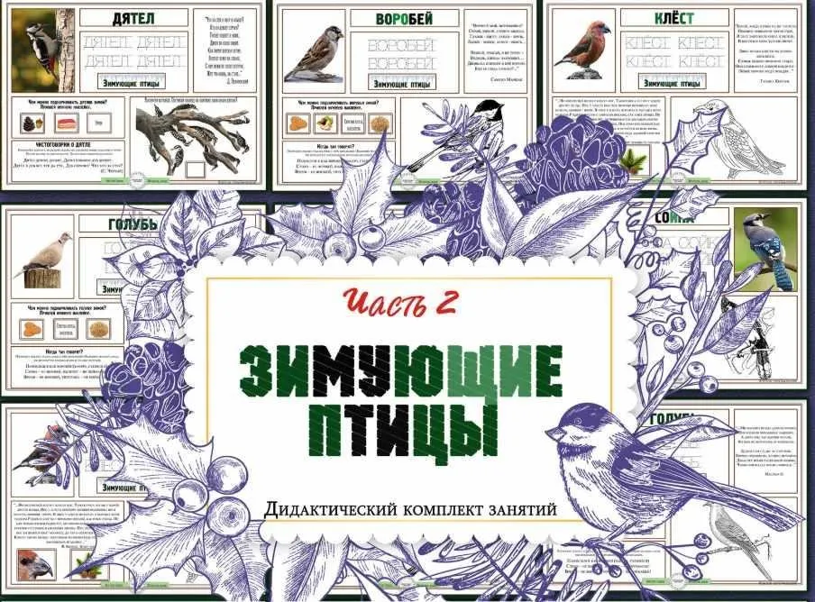 Зимующие птицы. Часть 2 (Елена Солдатова)