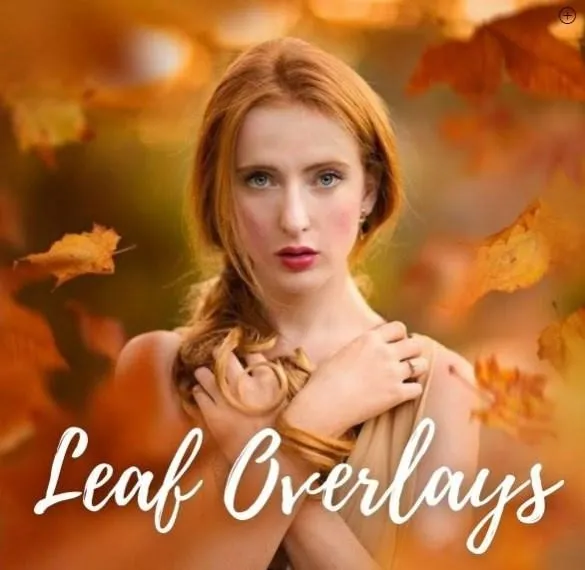 JD Special Effects: Leaf Overlays & Actions (Jessica Drossin)