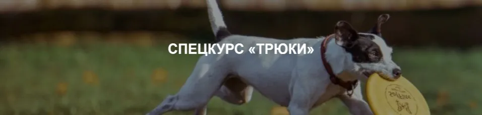 [Okidog Academy] Дрессировка собак. Спецкурс Трюки