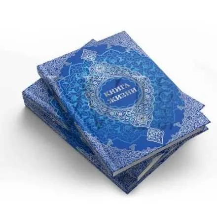 [Woman Insight] Книга жизни (Светлана Керимова)