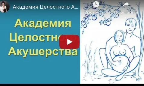 Целостное акушерство  для профессионалов. Первая Ступень  (Елена Ермакова)