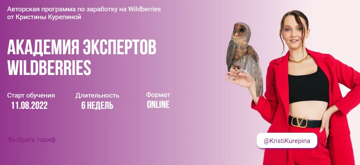 Академия экспертов Wildberries. Тариф Премиум (Кристина Курепина)