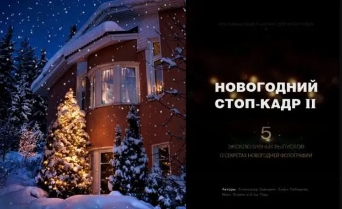 Новогодний стоп-кадр II, 2016 (Александр Заморин, Софи Лебедева)