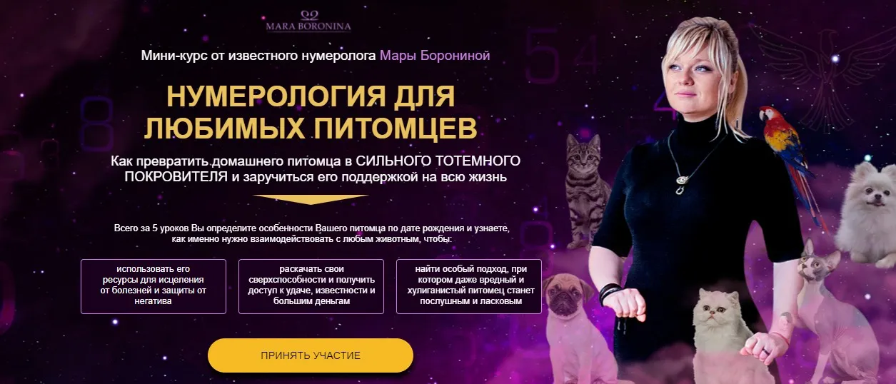 [Люмос 22] Нумерология для любимых питомцев (Мара Боронина)