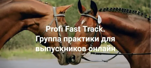 [Институт Открытого поля] Я беру свою жизнь себе. Profi Fast Track. Группа практики для выпускников онлайн (Елена Веселаго)