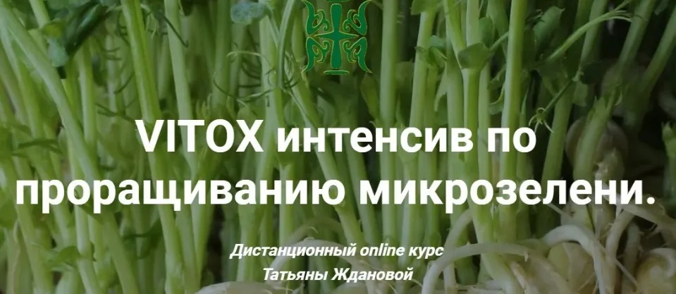 VITOX интенсив по проращиванию микрозелени 2020 (Татьяна Жданова)