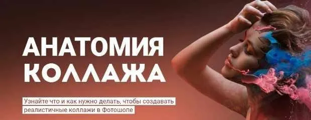 Анатомия коллажа (Алексей Кузьмичев)