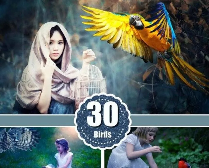 [etsy.com] Фотоналожения Птицы / Birds Photo Overlays (MrOverlay)