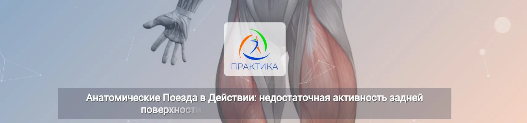 [Центр Практика] Анатомические поезда в действии: недостаточная активность задней поверхности бедра и гипертрофия квадрицепса (Анна Щербина)
