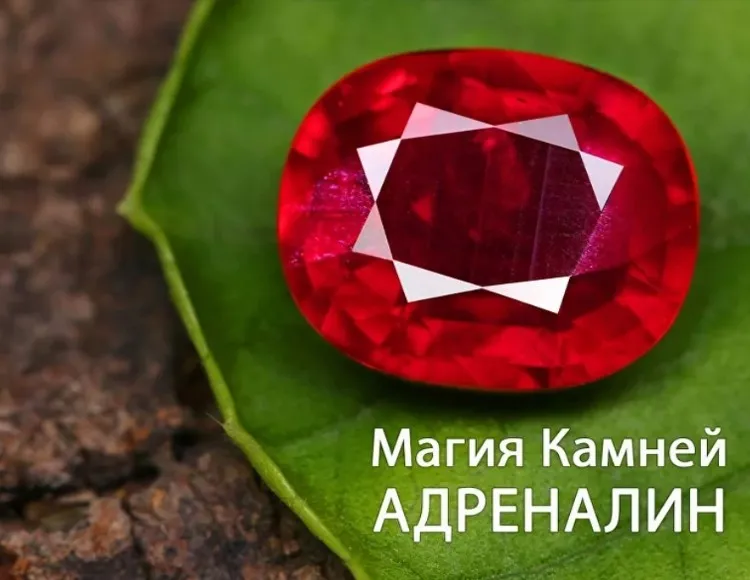 Магия камней Адреналин (Анна Гак)