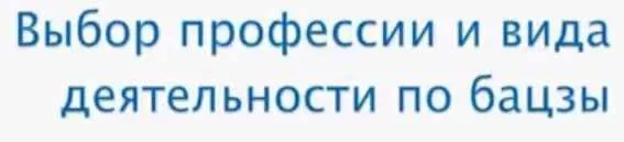 Выбор профессии и вида деятельности по бацзы (Анна Подчернина)