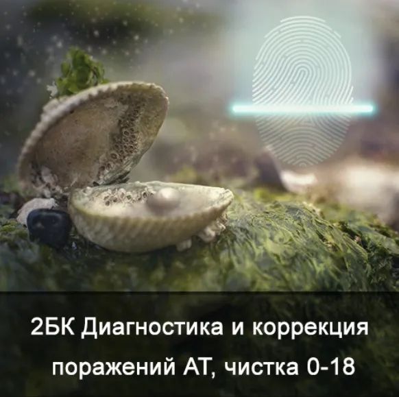 2БК Диагностика и коррекция поражений АТ, чистка от 0 до 18 лет (Ксения Меньшикова)