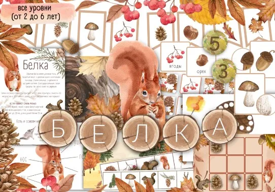 [busy-bee] Белка. Все уровни